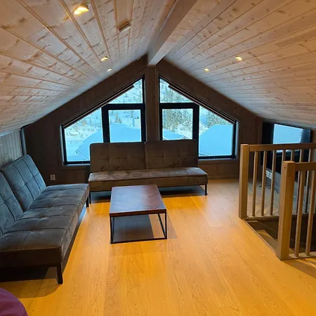 Semesterbostad Kvitfjell Year-round Destination-ski In Out - World Cup Side *